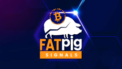 Basic and Additional Benefits of Crypto Signal Providers