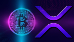 XRP Price Demonstrates Extremely Interesting Action Against Bitcoin During Current Drop