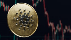 Cardano Price May Be at Bottom as This Indicator Signals: Details