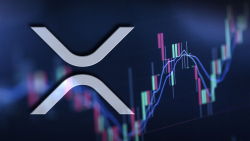 XRP Demonstrates Strongest Weekly Performance Among Top Cryptos: Details