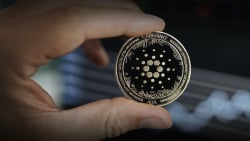 Cardano Performance Changed Significantly After Vasil Hard Fork, Here Are Detailed Insights