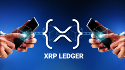 Here's How To Build XRPL Smart Contracts on Testnet