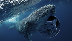 100 Billion SHIB Grabbed by Whale After This Major Milestone of SHIB