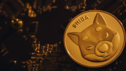 Shiba Inu (SHIB) Finally Listed on This Major Cryptocurrency Exchange: Details