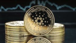 Here's How Much Cardano Has Earned from Transactions and How It Differs from Ethereum and Solana
