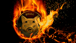 Here's How Billions of SHIB Can Be Burned Daily: Innovative Burner
