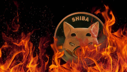 SHIB Burn Rate Adds 590% as SHIB Token Hits Major Milestone