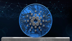 Here's How Cardano Network Has Changed Since Vasil: Details