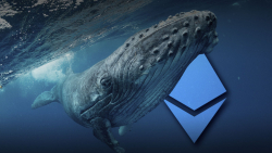 Large Ethereum Whales Add Whopping 3.5 Million ETH to Their Bags