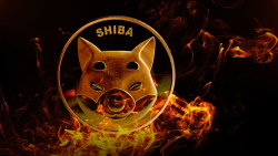SHIB Burn Rate Jumps 584% as Millions of SHIB Sent to Dead Wallets