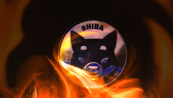 SHIB Burning Extremely Different Since Start of Fall: Details