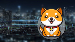 BabyDoge Price Soars on This New Listing: Details