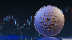 Cardano DEX Sees 788% Growth in User Activity Post-Vasil: Details
