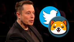 BabyDoge Community Responds to Elon Musk's Tweet, Price Jumps