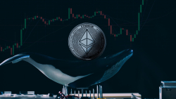 Here's What Ethereum Whales Purchase Massively To Protect From Bear Market