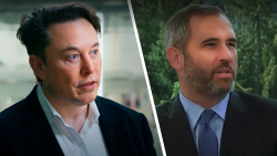 Elon Musk Comments on Ripple CEO's Brutal Statement About SEC