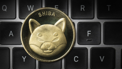 Shiba Inu (SHIB) Price Approaches Oversold Levels per This Indicator
