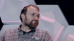 Cardano Founder Says "Something Special" Is Coming in November