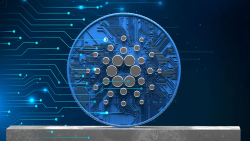 Cardano (ADA) Is Extremely Undervalued According to On-chain Data