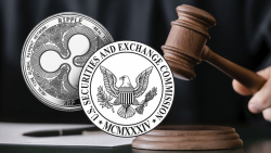 Ripple v. SEC: XRP Holders' Support Felt With 3,000 Affidavits Submitted