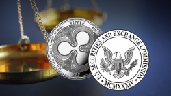 XRP's Last Piece of Puzzle Snapped Into Place, States Lawyer