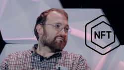 Here's Cardano Founder's Amusing Response to Recent NFT Growth