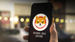 SHIB Sets All-time High by Number of Holders as Shiba Inu Reconquers Its Position
