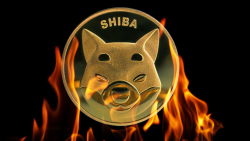 SHIB Burn Rate Climbs by 443% As Price Reaches Six-week High