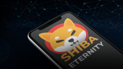 SHIB Reveals Surprise for Shiba Eternity, Developer Hints at Next Focus