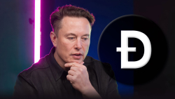 Doge Creator Steps in to Defend Elon Musk, Here's What Tesla Boss Is Indirectly Accused Of 