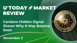 Cardano Hidden Signal Shows Why It May Bounce Soon: Crypto Market Review, November 2