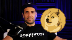 DOGE Will Easily Pass Its ATH Thanks to Musk, But There's Catch: David Gokhshtein