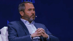 Ripple CEO Touts "Unprecedented" Support from Industry