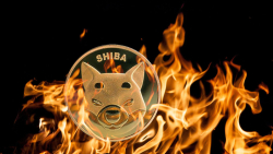 SHIB Burning Makes Leap, Here's How Much Was Burned Last Week