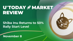 Shiba Inu Returns to 50% Rally Start Level: Crypto Market Review, November 8