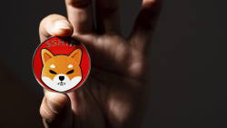 Shiba Inu Team Weighs In on Ongoing Crypto Crisis 