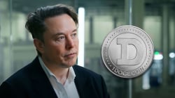 DOGE Did Not Pump on Elon Musk's Words & Thankfully So, Here's Why