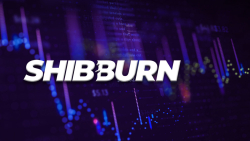 SHIB Burn Rate Shoots up 1,064% After These New Milestones