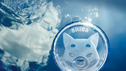 SHIB Price May Have Found Its Bottom, Here's What's Next