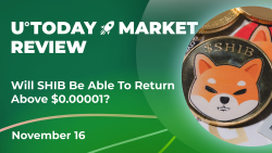 Will SHIB Be Able to Return Above $0.00001? Crypto Market Review, November 16