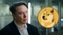 Dogecoin Founder Reveals Why He Does Not Want to Work for Elon Musk