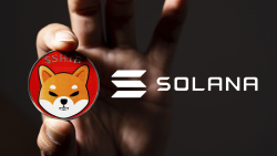 SHIB Capitalizes on Solana's Failures, Here's What It's About
