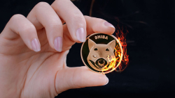 Shiba Inu Burn Rate Spikes by 121%, Price Reacts
