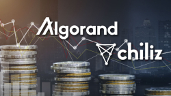 Here's Why Chiliz and Algorand Suffered Losses in Latest Market Drop: Details