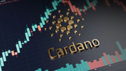 Cardano's Major Blockchain Metric Eyes Significant Increase, Here's What Happened