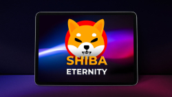 Shiba Eternity Game Receives New Upgrade, Here's What Changed