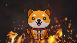 Here's How Massive Amount of BabyDoge Can Be Burned: Details