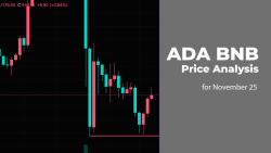ADA and BNB Price Analysis for November 25