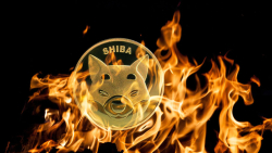 Shiba Inu Sees Nearly 100% Weekly Burns, What's Next on SHIB Price?
