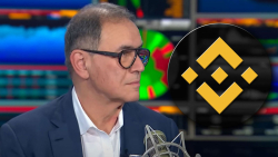 BNB Drops 6% as "Dr. Doom" Roubini's Criticism of CZ Considered Bullish by Some in Community